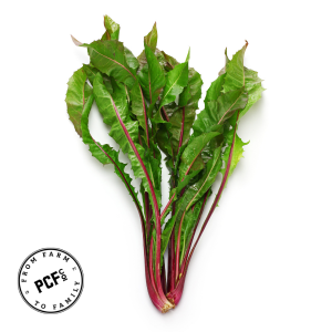 1-Apr-22-2026-06-50-33-1128-PM