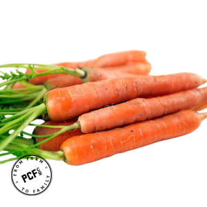 2-Mar-17-2026-10-17-56-7601-PM