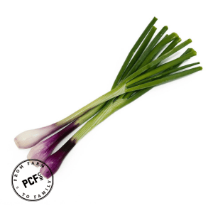 3-Mar-17-2026-09-42-55-0183-PM