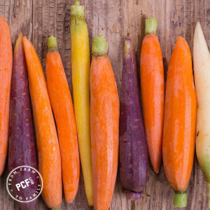 4-Apr-22-2026-06-50-38-5803-PM