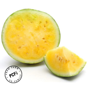 5-Apr-22-2026-06-50-43-4032-PM