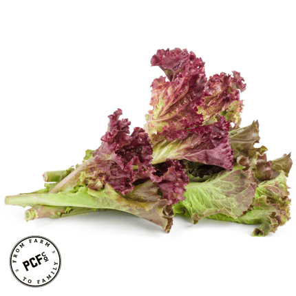 5-Jun-03-2025-05-52-36-8471-PM