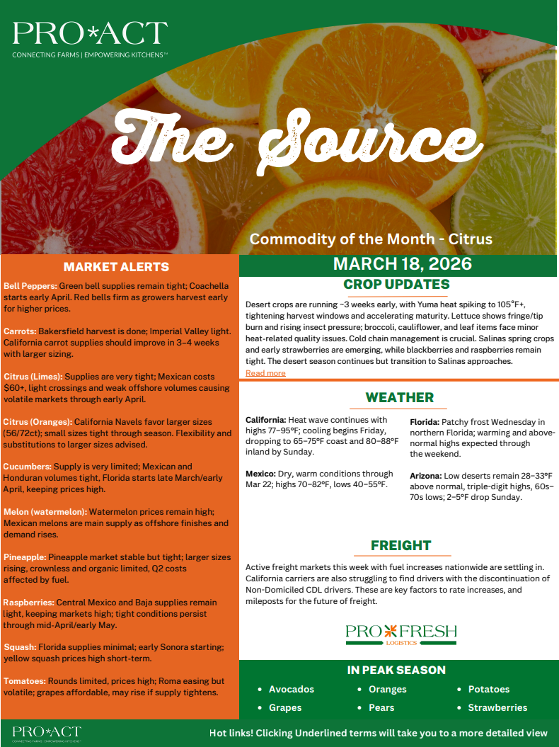 Screenshot 2026-03-18 at 1.10.23 PM