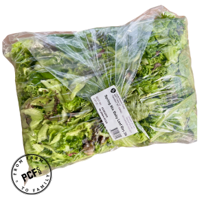 Untitled (2048 x 2048 px) (1080 x 1080 px) (300 x 300 px)-Mar-18-2026-09-11-57-7938-PM